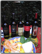 fine sicilian wines and appetizers